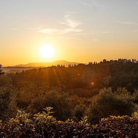 Collebrunacchi B&B San Miniato Eksteriør billede