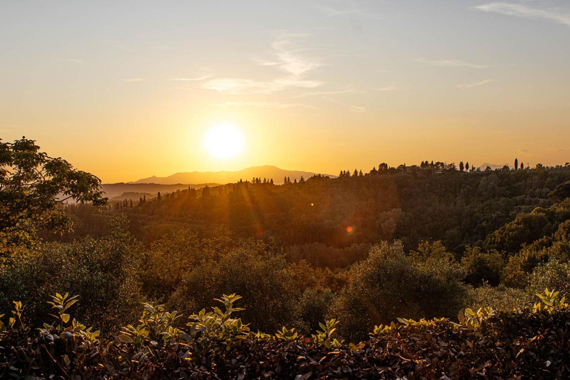 Collebrunacchi B&B San Miniato Eksteriør billede