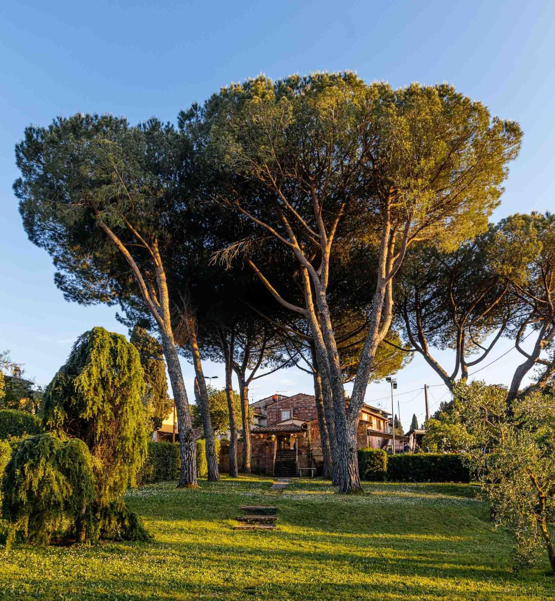 Collebrunacchi B&B San Miniato Eksteriør billede